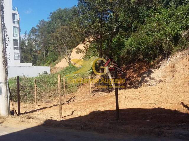 #591 - Área para Venda em São João del Rei - MG - 1
