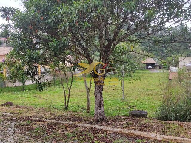 #760 - Área para Venda em Tiradentes - MG - 1