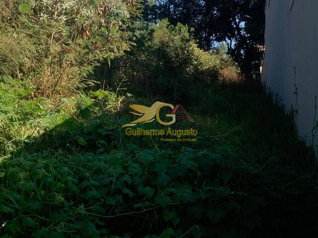 Terreno para Venda em São João del Rei - 5