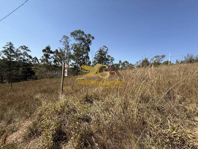 #864 - Área para Venda em Tiradentes - MG - 3