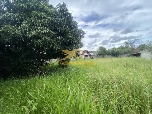 #933 - Terreno para Venda em São João del Rei - MG