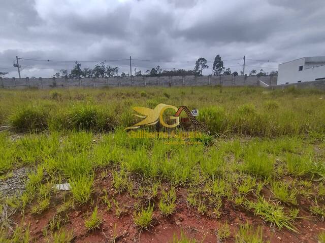Venda em Colônia do Marçal - São João del Rei
