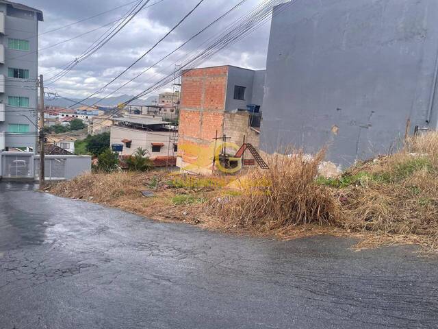 #770 - Terreno para Venda em São João del Rei - MG - 3