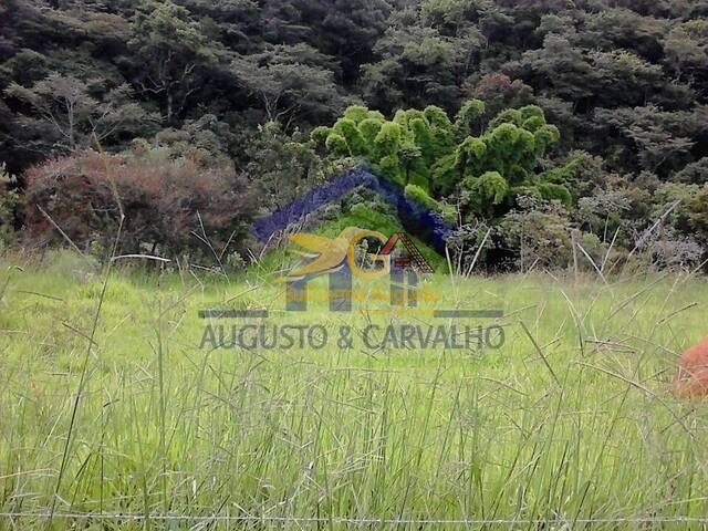 #207 - Área para Venda em Tiradentes - MG - 1