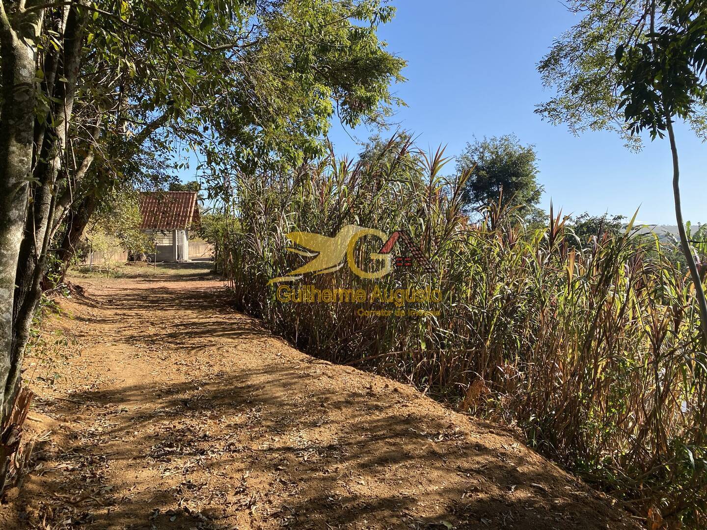 Sítio à venda com 2 quartos, 360m² - Foto 36
