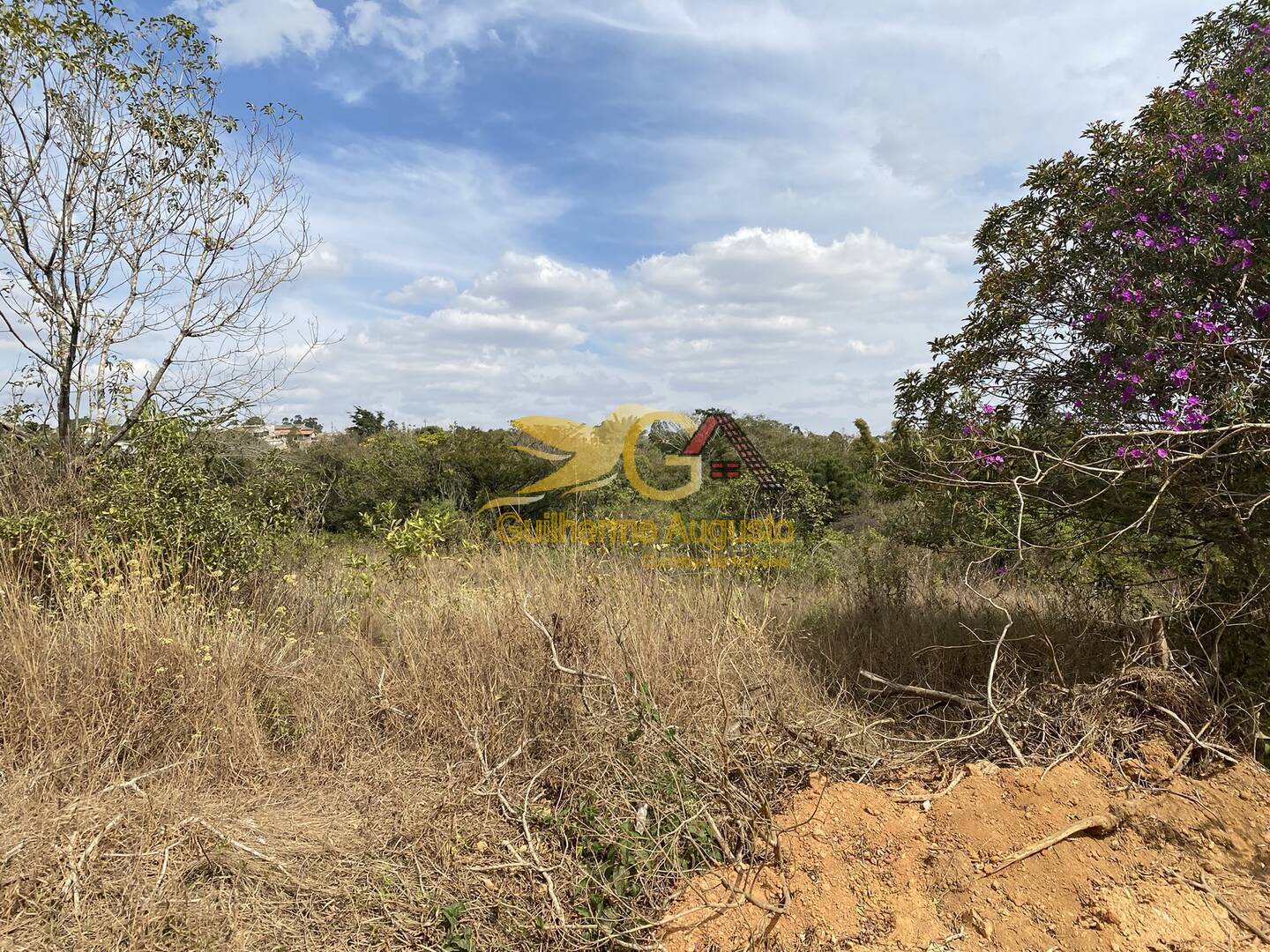 Terreno, 3850 m² - Foto 2