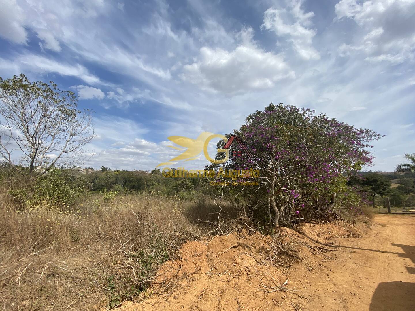 Terreno, 3850 m² - Foto 4