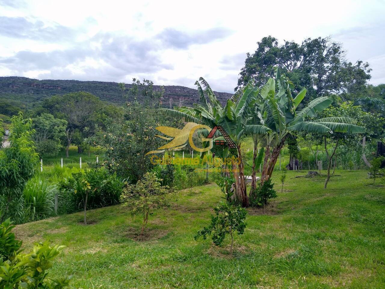 Sítio à venda com 6 quartos, 300m² - Foto 10