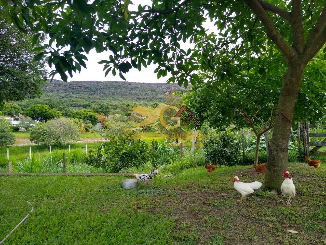 Sítio à venda com 6 quartos, 300m² - Foto 15