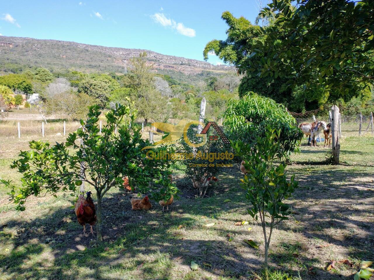 Sítio à venda com 6 quartos, 300m² - Foto 20
