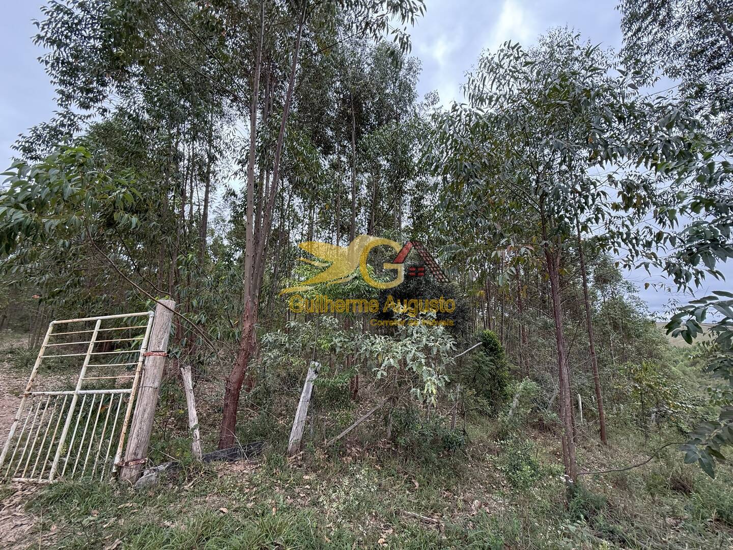 Terreno, 56 m² - Foto 2