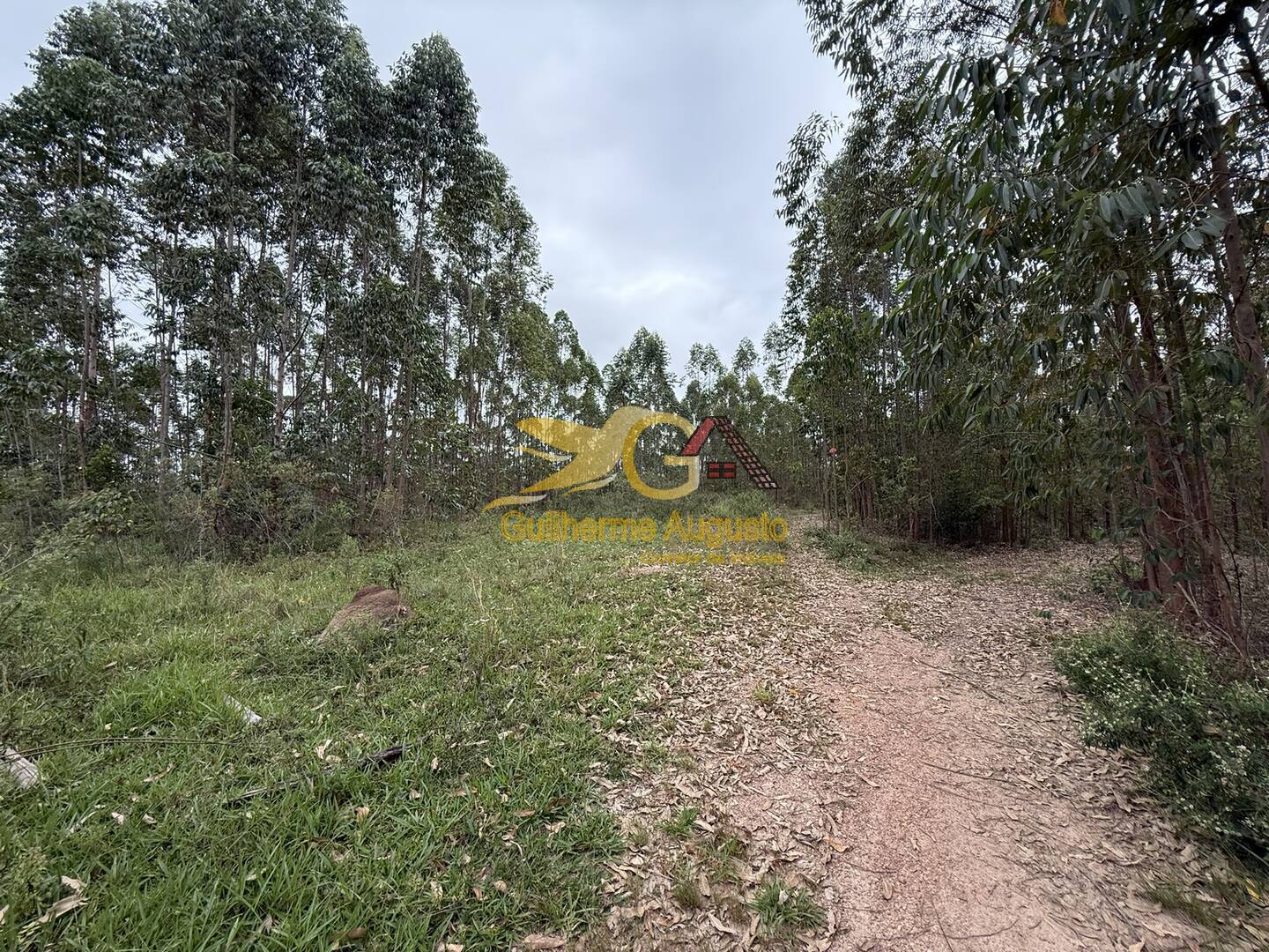 Terreno, 56 m² - Foto 3