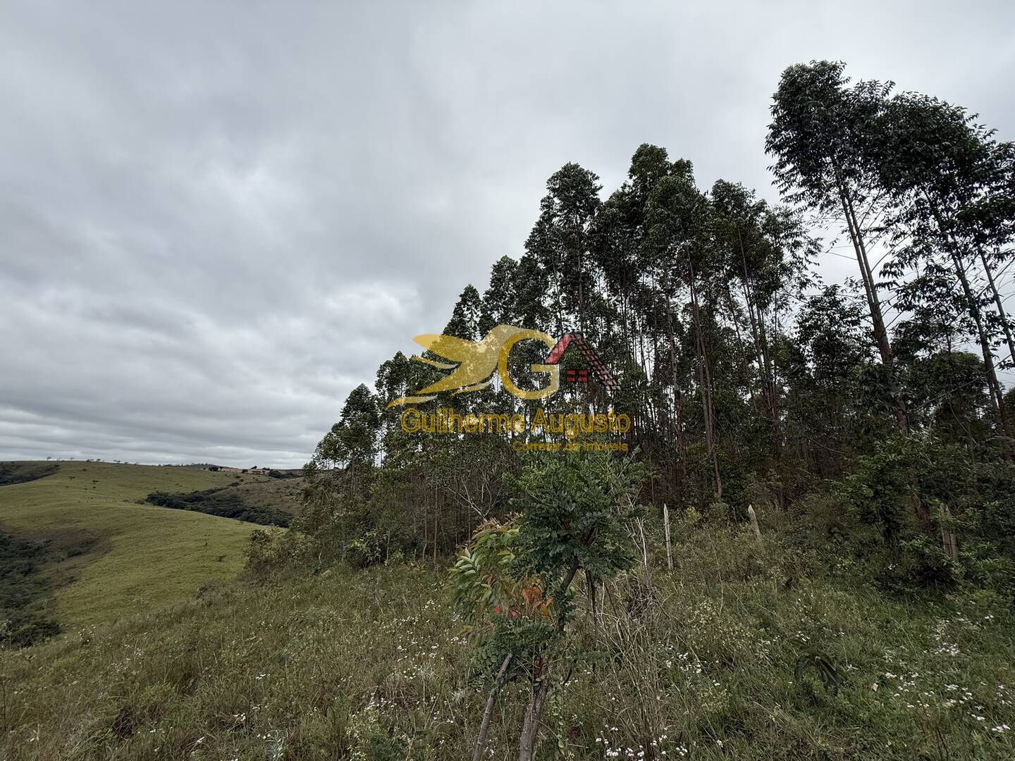 Terreno, 56 m² - Foto 4