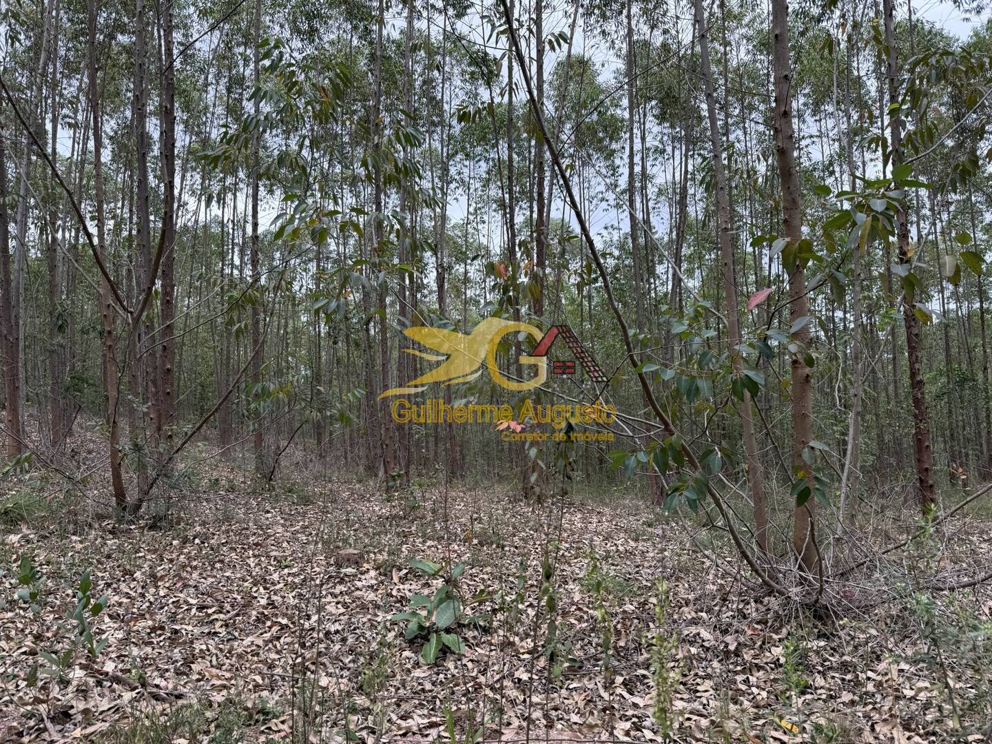 Terreno, 56 m² - Foto 8