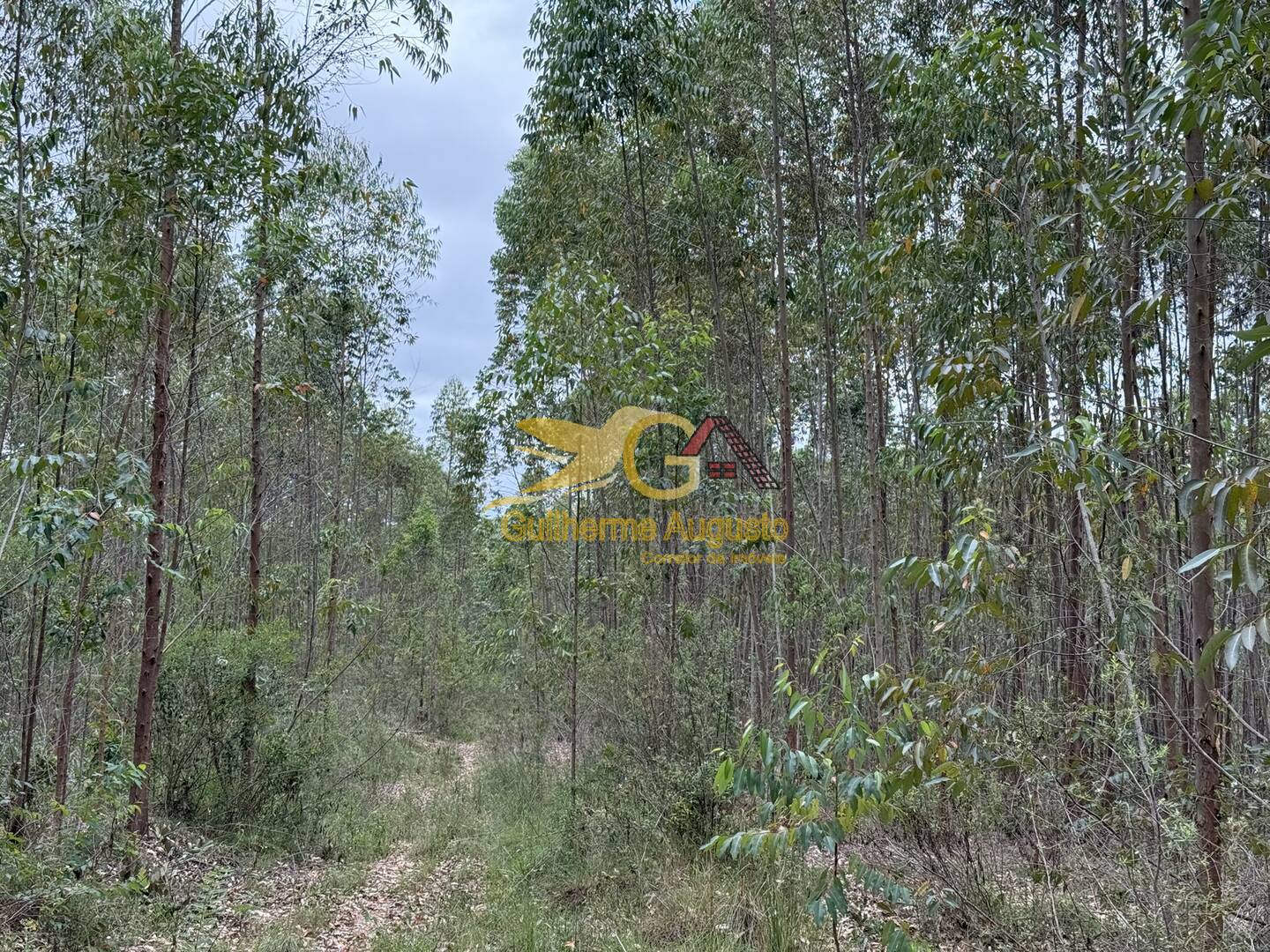 Terreno, 56 m² - Foto 10