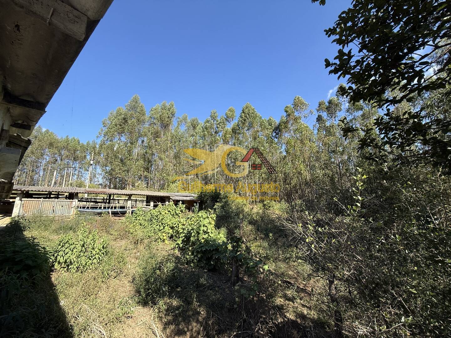 Sítio para alugar com 3 quartos, 30m² - Foto 1