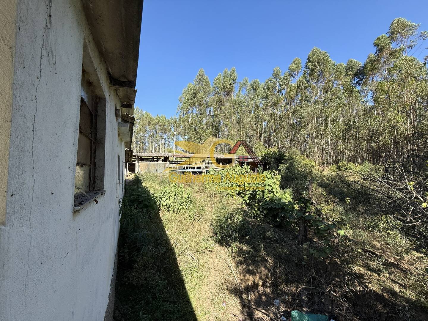 Sítio para alugar com 3 quartos, 30m² - Foto 2
