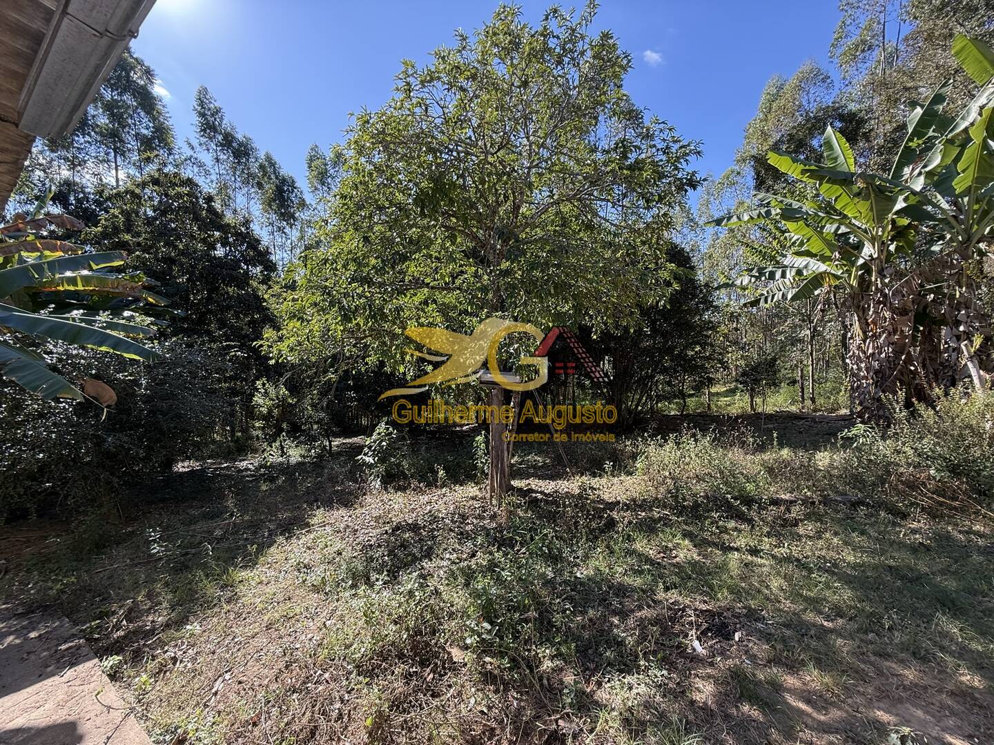 Sítio para alugar com 3 quartos, 30m² - Foto 12