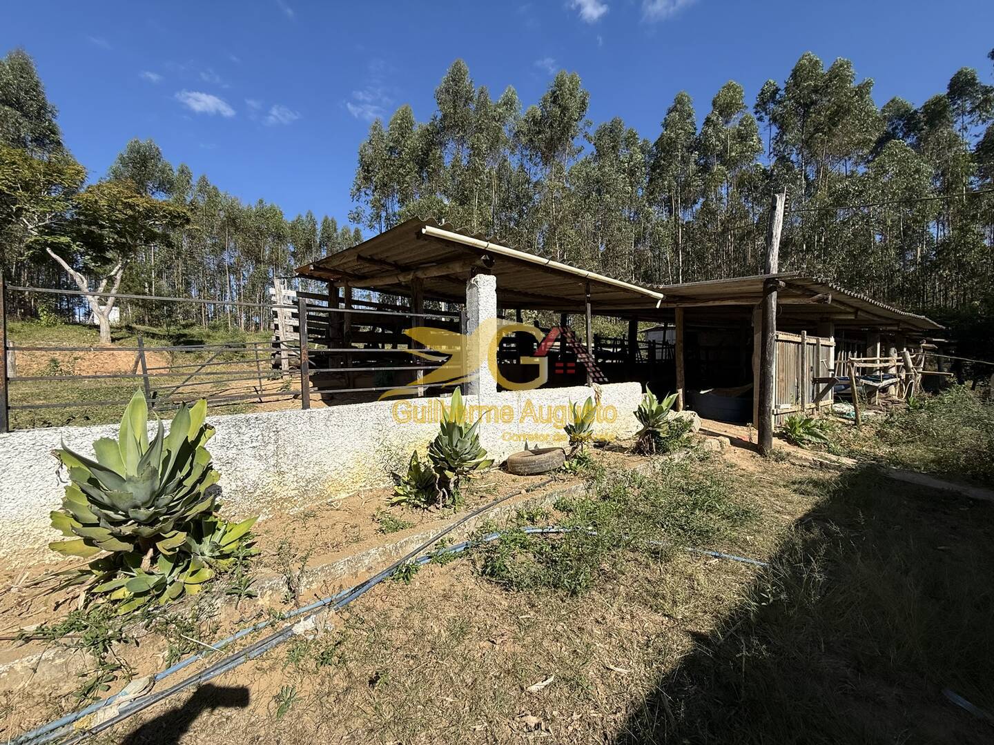 Sítio para alugar com 3 quartos, 30m² - Foto 15