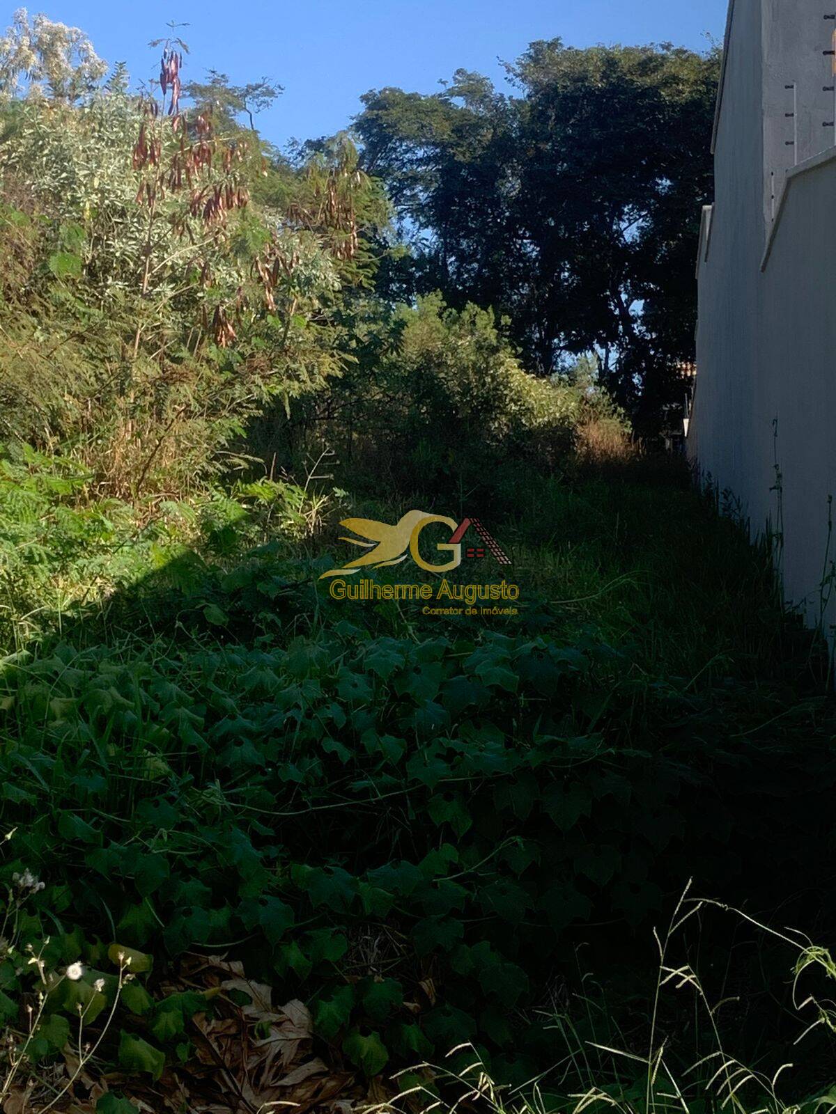 Terreno, 588 m² - Foto 5