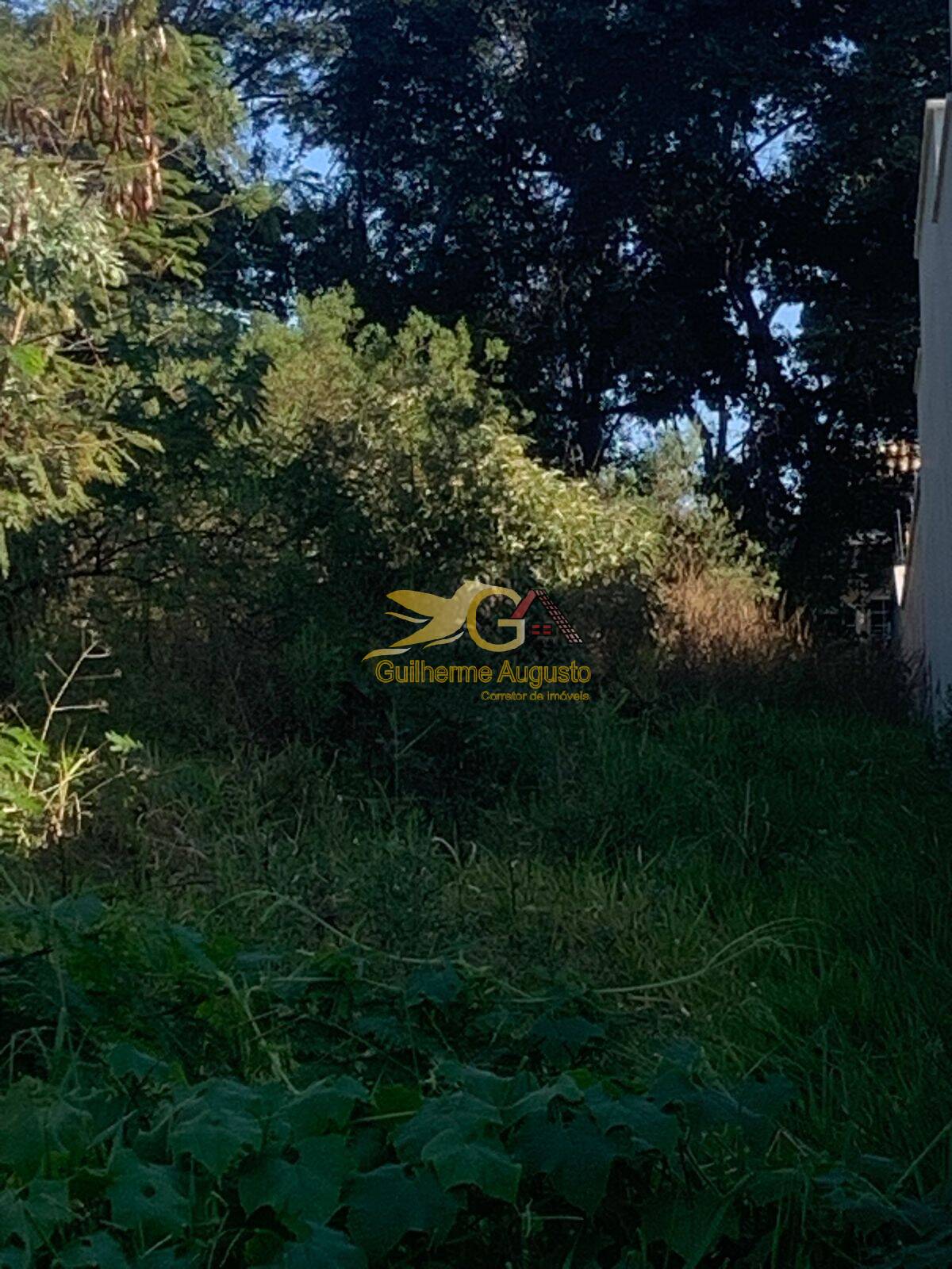 Terreno, 588 m² - Foto 6