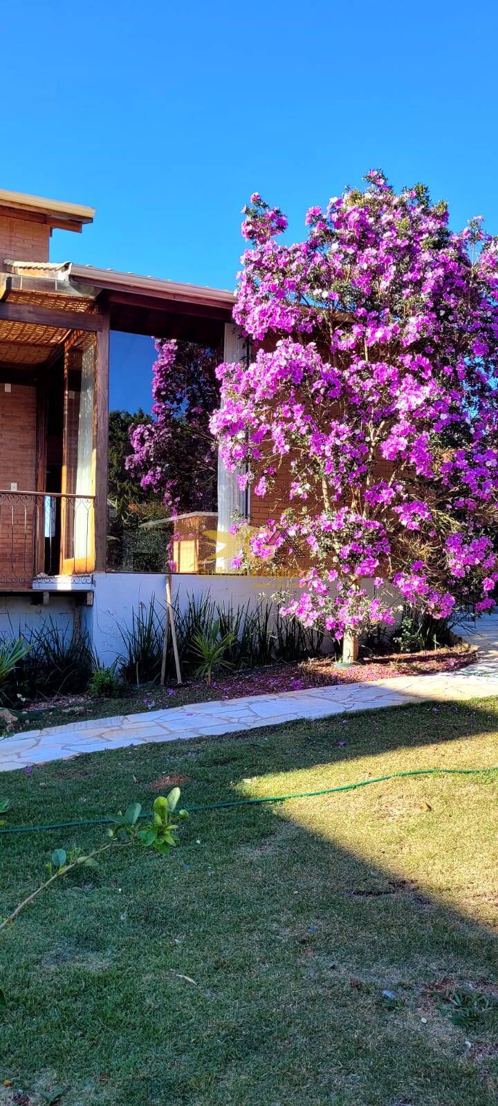 Casa, 4 quartos, 425 m² - Foto 16