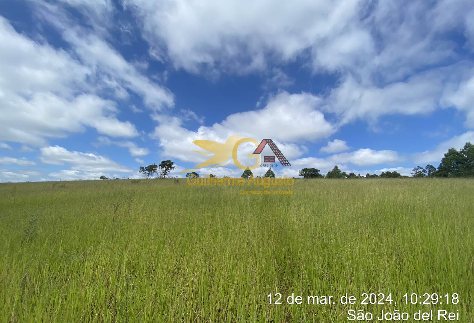 Sítio, 5 quartos, 244 m² - Foto 3