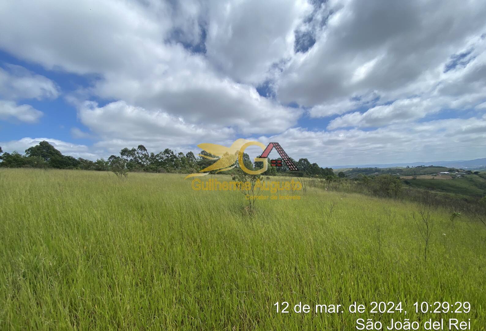 Sítio, 5 quartos, 244 m² - Foto 5