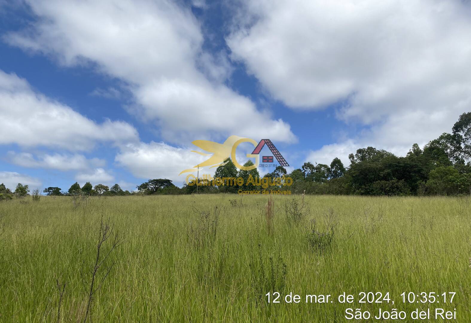 Sítio, 5 quartos, 244 m² - Foto 6