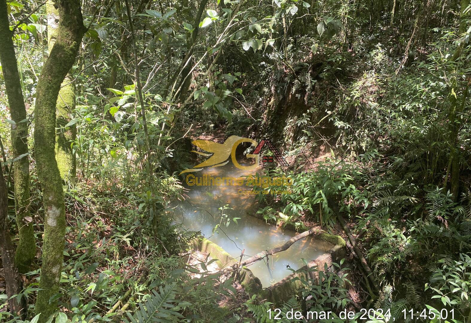 Sítio, 5 quartos, 244 m² - Foto 20