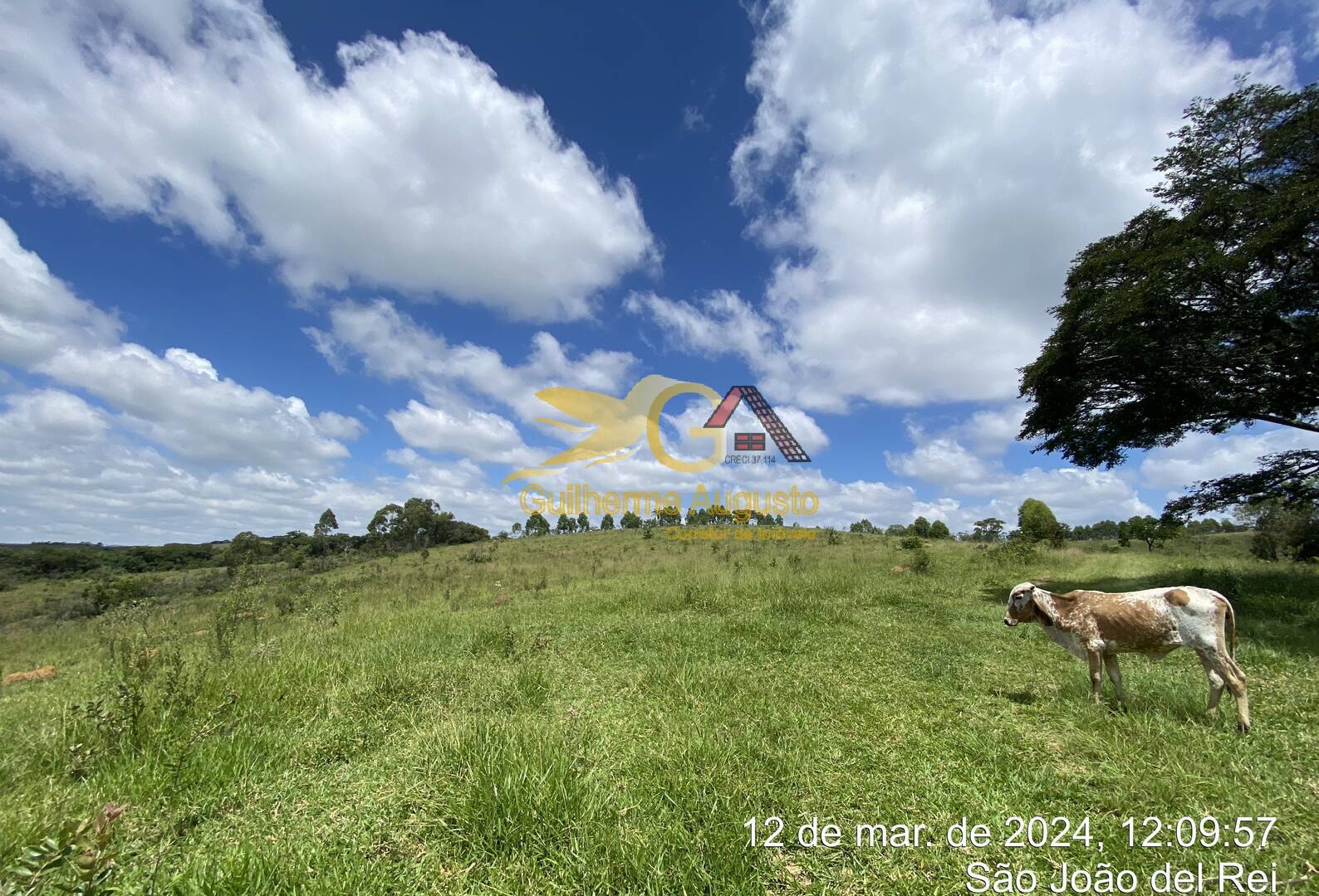 Sítio, 5 quartos, 244 m² - Foto 32