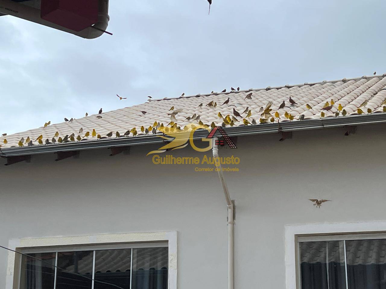 Casa, 3 quartos, 172 m² - Foto 31