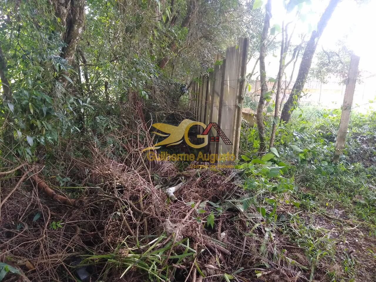 Terreno, 264 m² - Foto 7