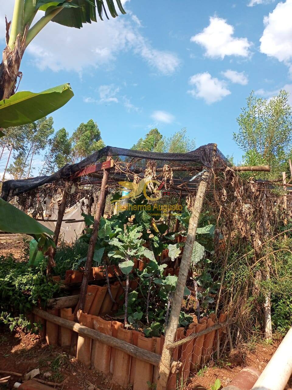 Sítio à venda com 2 quartos, 45m² - Foto 18