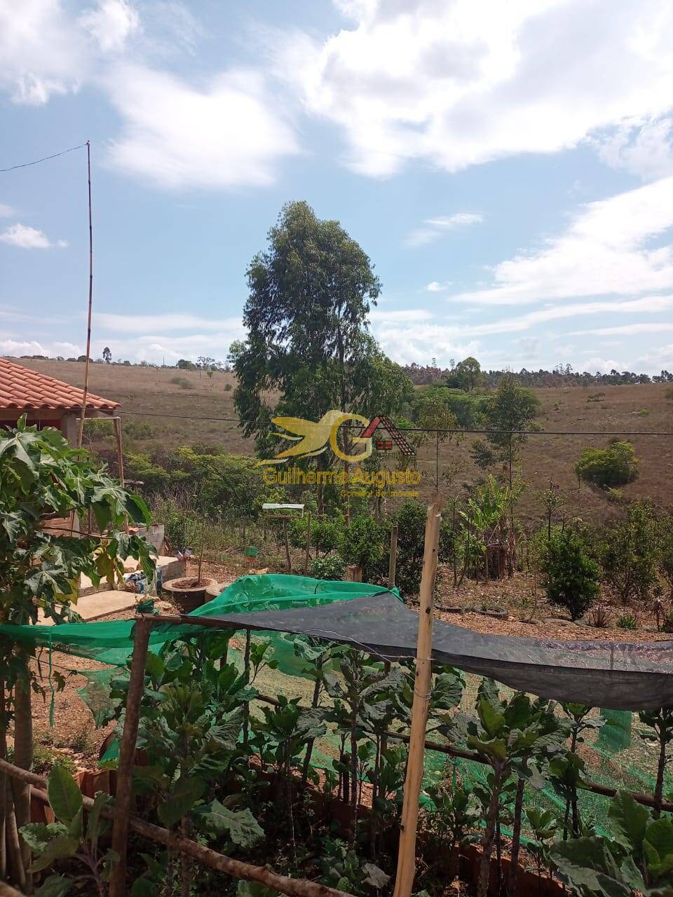 Sítio à venda com 2 quartos, 45m² - Foto 21