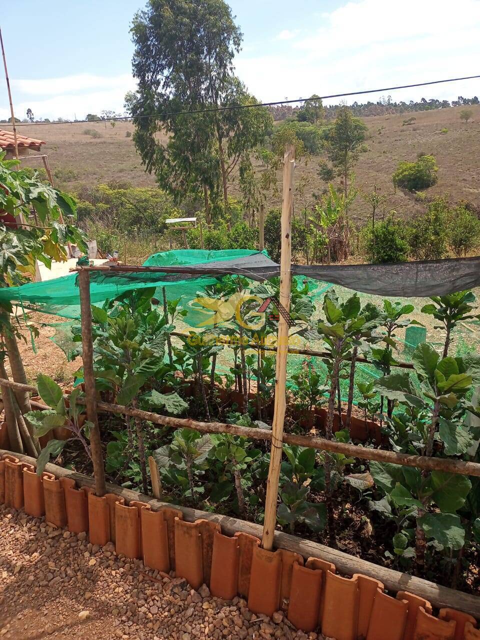 Sítio à venda com 2 quartos, 45m² - Foto 23